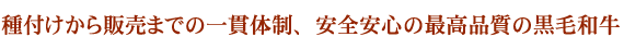 種付けから販売までの一貫体制、安心安全の最高品質の黒毛和牛